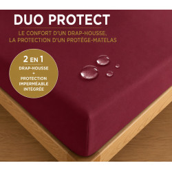 Duo Protect Grenat