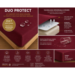 Duo Protect Grenat