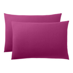 Duo Protect Magenta