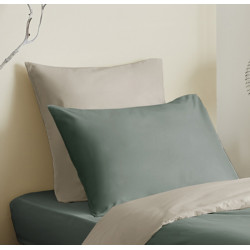 Bicolore  Eucalyptus/Ficelle