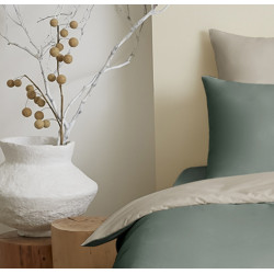 Bicolore  Eucalyptus/Ficelle
