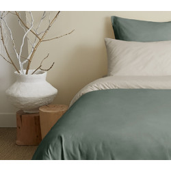 Bicolore  Eucalyptus/Ficelle