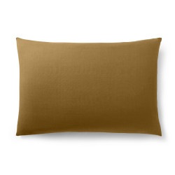 Premium Caramel