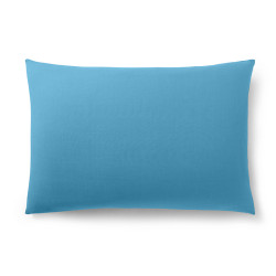Premium Cyan