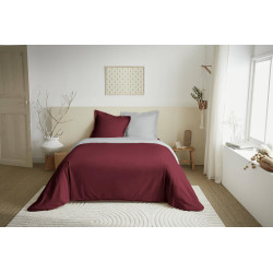 Duo Premium Grenat/Nuage