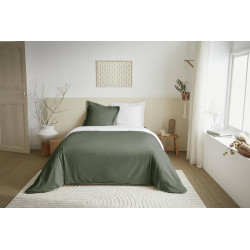 Duo Premium Romarin/Neige