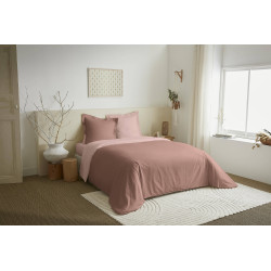 Duo Premium Vieux Rose/Rose Dragée